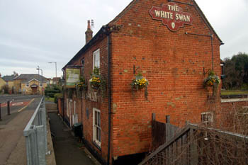 White Swan January 2008